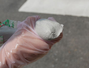 楽天市場】業務用 ネズミ忌避パテ キクネンB-7V 1kg 柔らかめ