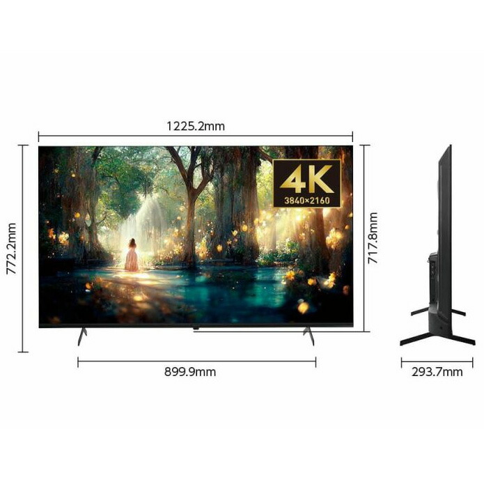 3週間前購入☆24年製☆55型☆Google TV☆OSR55G10☆4K対応☆