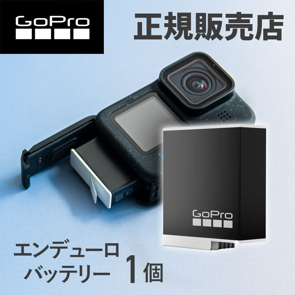 楽天市場】gopro12 バッテリーの通販