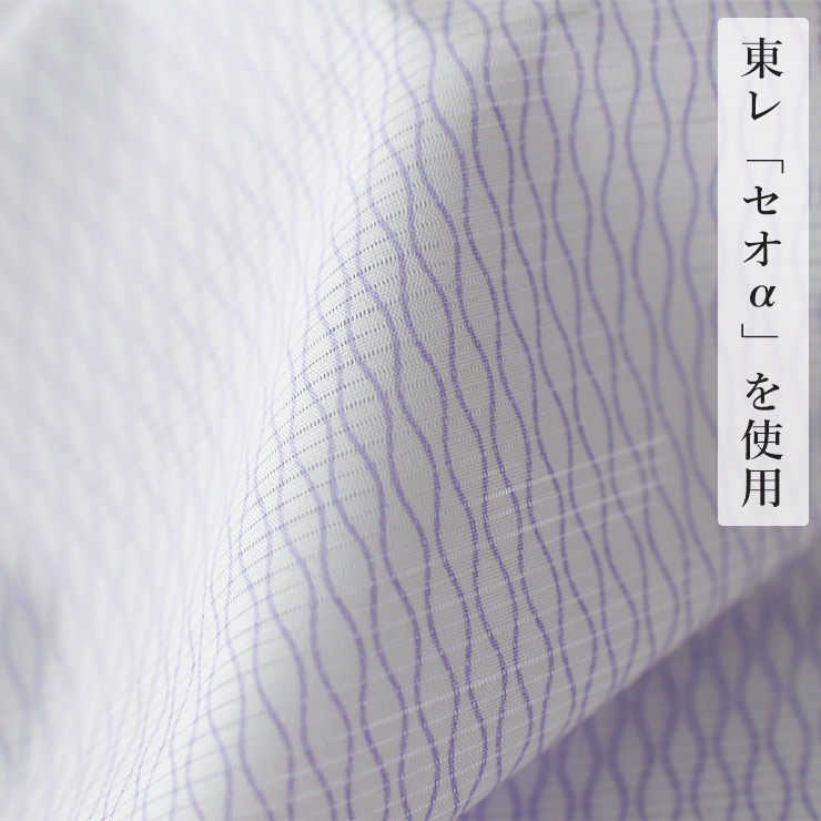 楽天市場】＼2点で3％OFFクーポン／ [洗える着物 絽 江戸小紋] 東