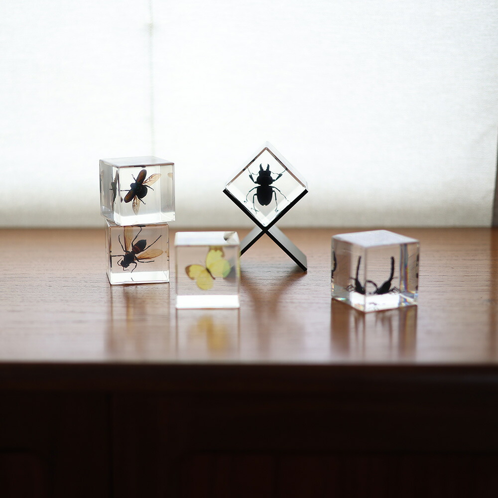 楽天市場】立体 昆虫 標本 アイアン スタンド 蝶 サソリ 蜂 HUNT9