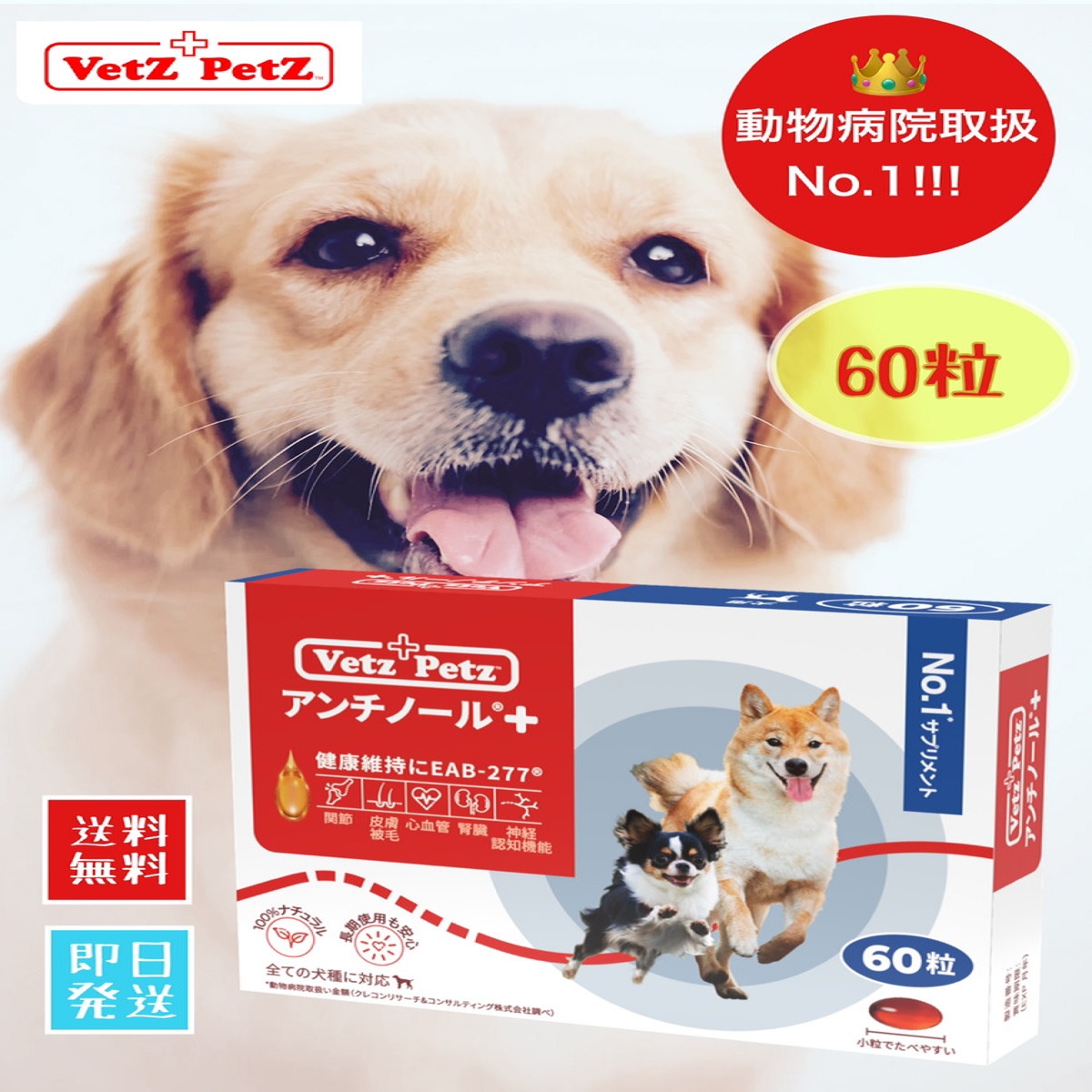 楽天市場】【最安値挑戦中！】アンチノールプラス 犬 犬用 60粒 60 犬