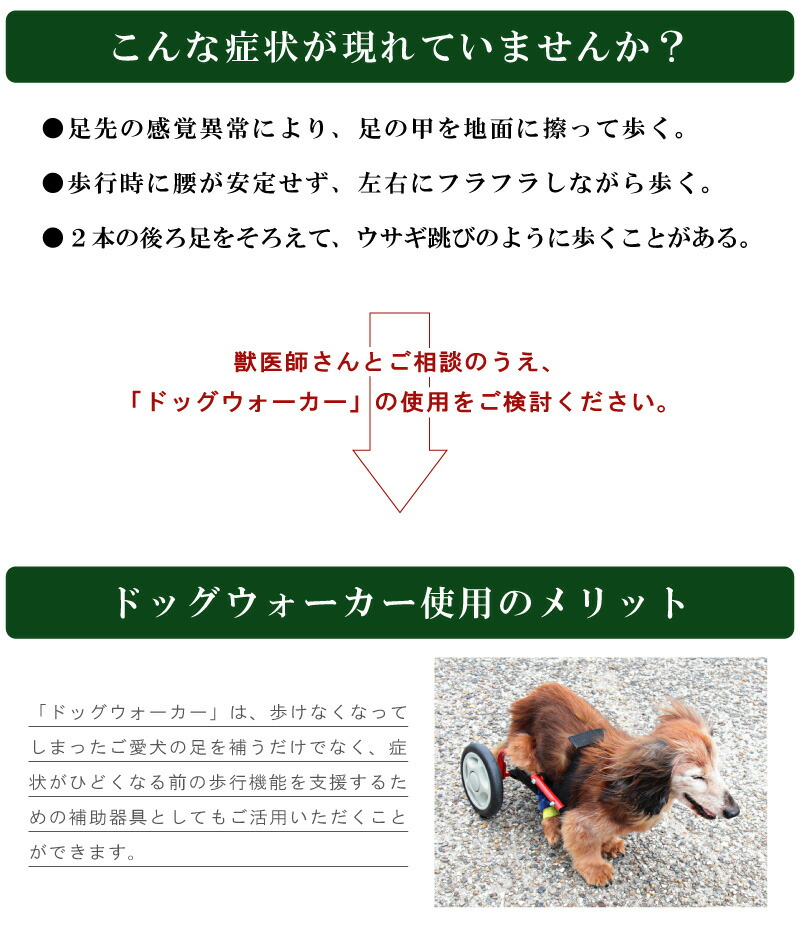 楽天市場】犬用車椅子 車いす ミニチュアダックスフンド専用 日本製 犬