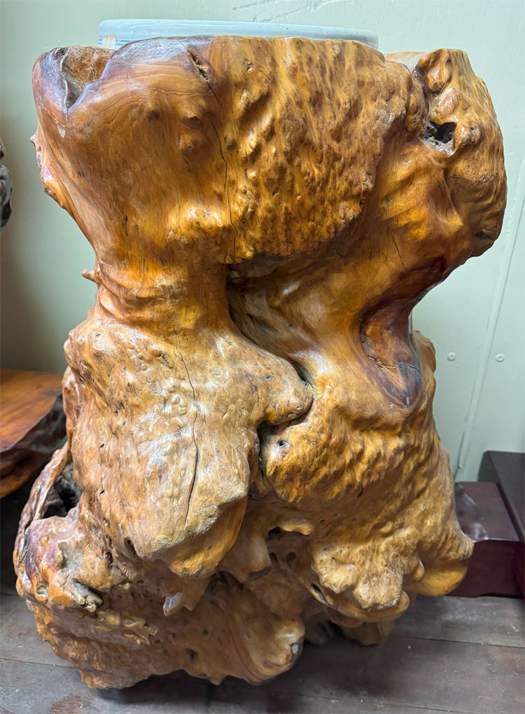 楽天市場】送料無料 自然木 楠 花鉢 展示品 オブジェ H87cm 家具 天然