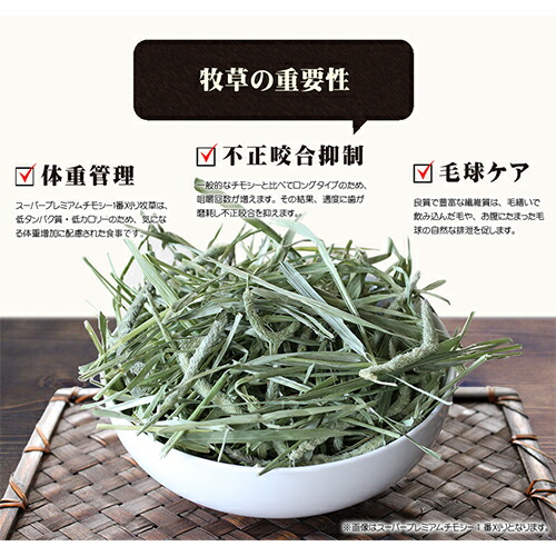 楽天市場】牧草市場 USチモシー2番刈り牧草ソフトタイプ500g（ソフト