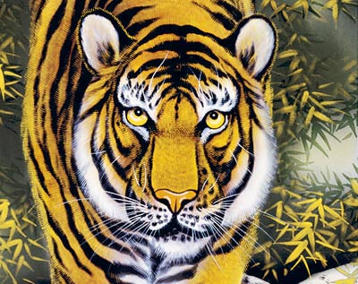 掛け軸 虎 茶道 (約186cm×約49cm) 楽天市場】掛け軸 掛軸 虎 龍猛虎(上村