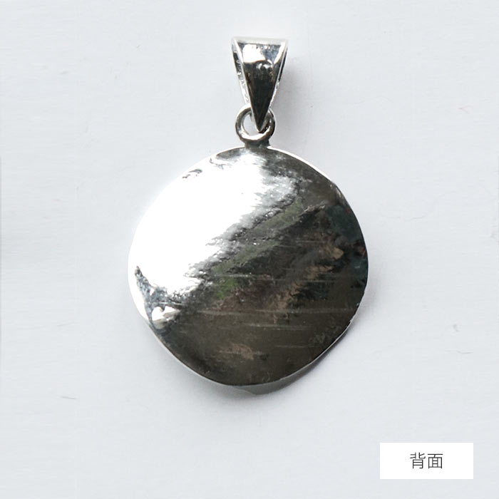 カレンシルバー、ボタニカルなデザインネックレス 楽天市場】10％OFF(9