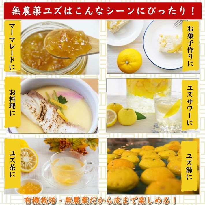 ともページ 柚子の葉 無農薬 ともページ 柚子の葉 無農薬 楽天市場