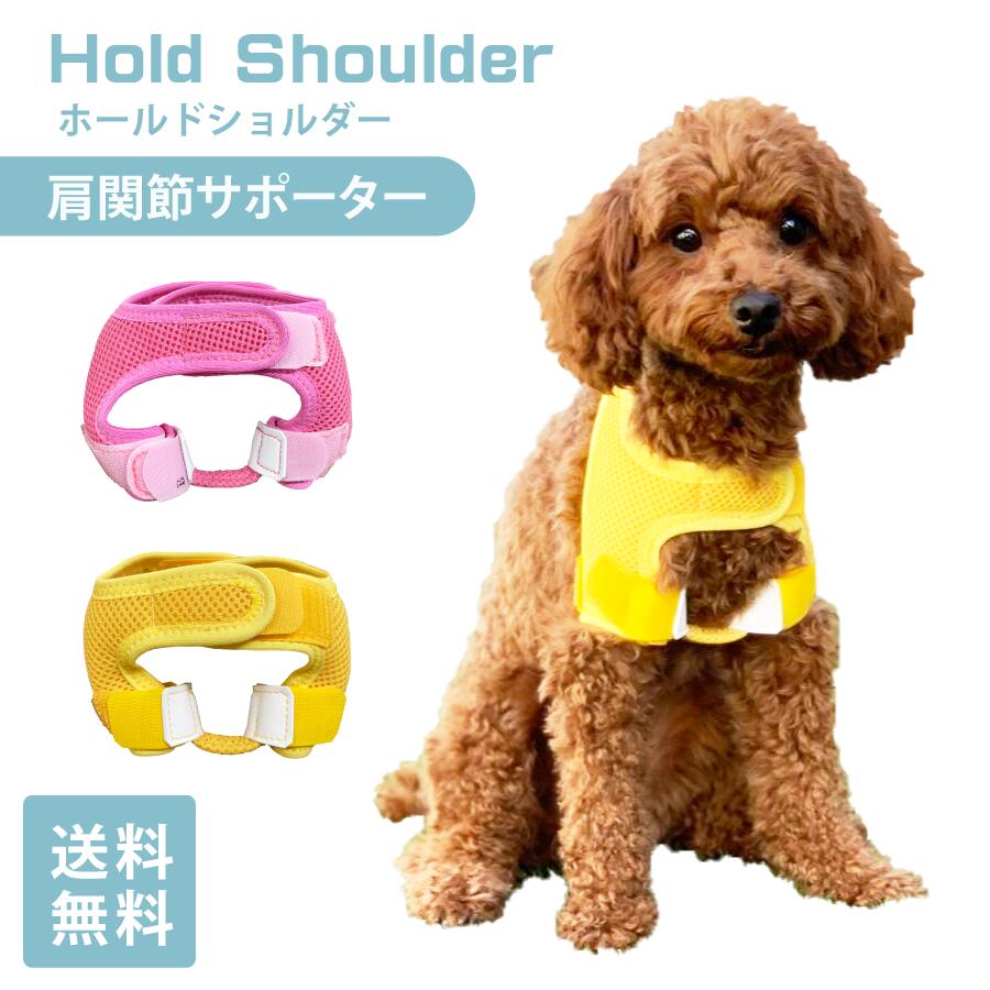 楽天市場】ホールドショルダー holdshoulder 肩脱臼 肩安定 固定 肩
