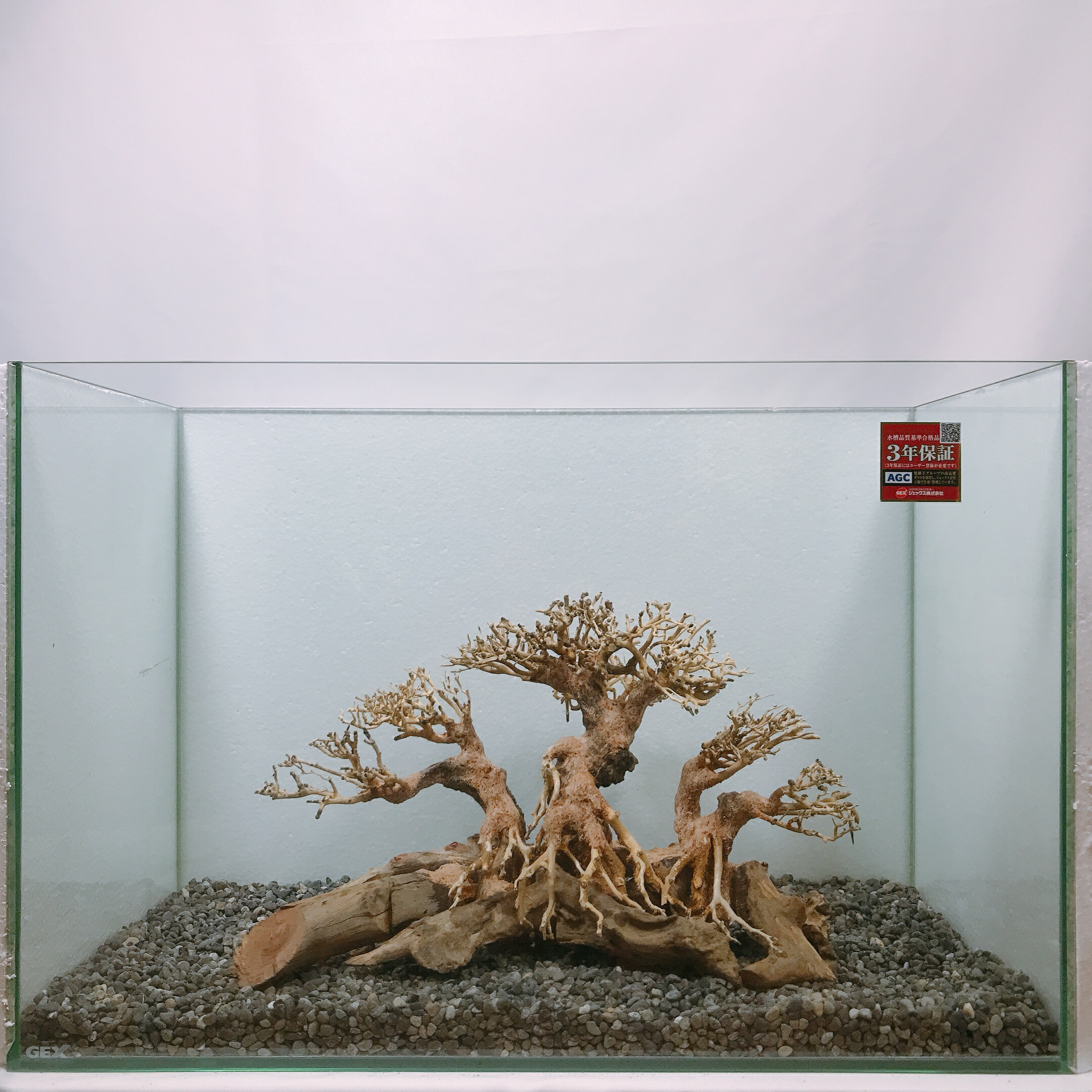 楽天市場】三龍盆栽流木（水槽専用アート流木）盆栽アート 盆栽