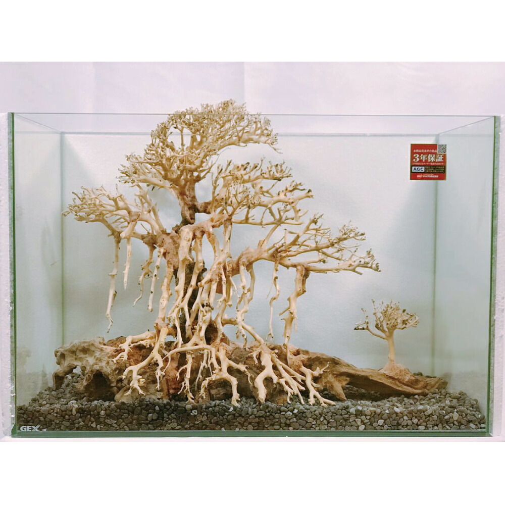 楽天市場】ミニ盆栽（流木｜流木・砂利・レイアウト用品）：水槽