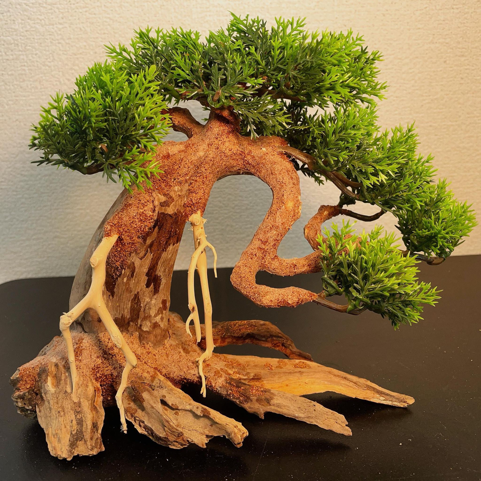 楽天市場】【送付無料・お買い得】中型溶岩石・水草樹脂付き盆栽流木