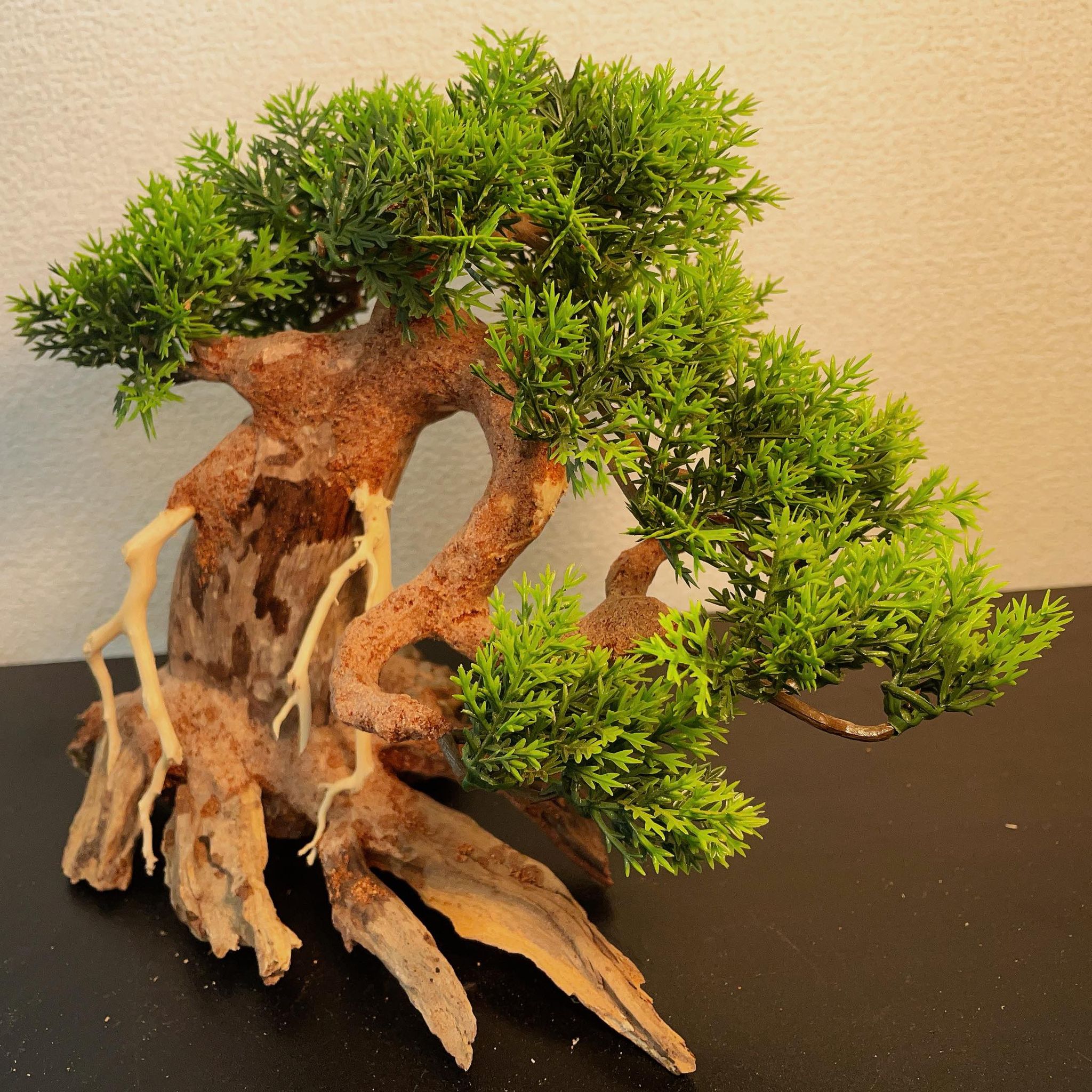 楽天市場】【送付無料・お買い得】中型溶岩石・水草樹脂付き盆栽流木