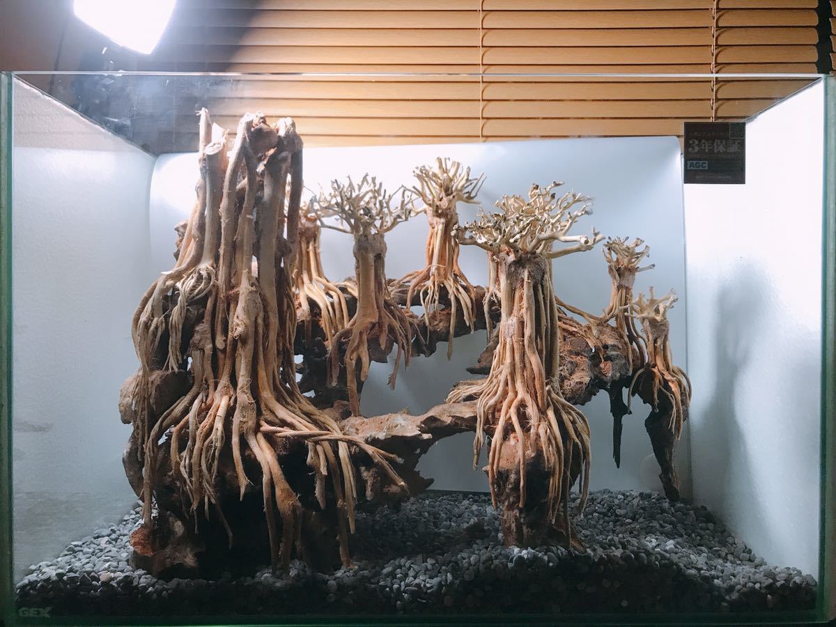 imgrc0084944176.jpg?fitin=720:720