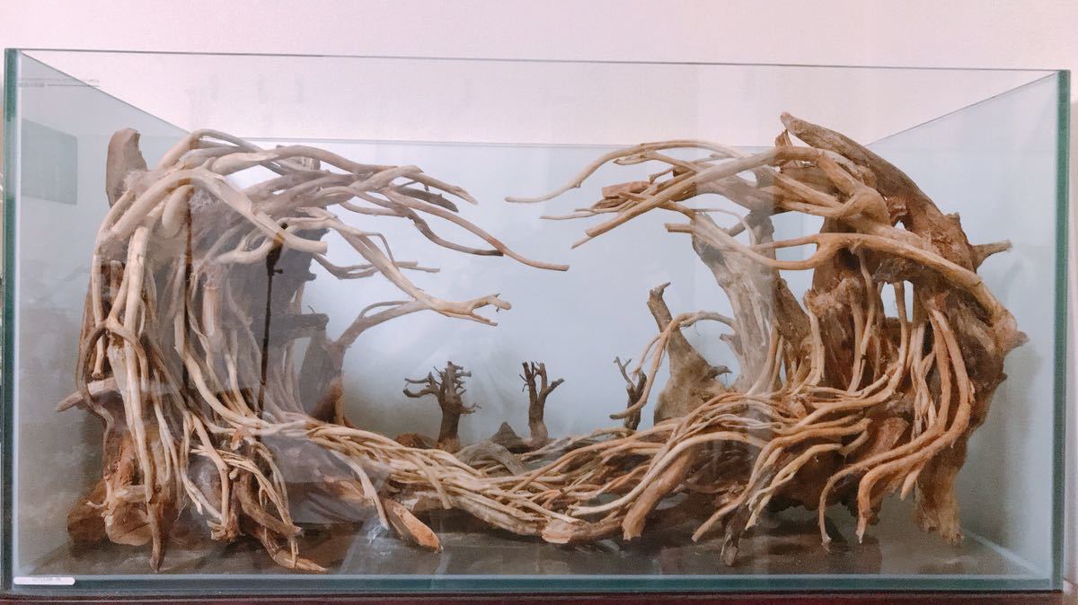 楽天市場】90cm水槽専用 深い茂る熱帯雨林のバニヤン流木 (水槽専用