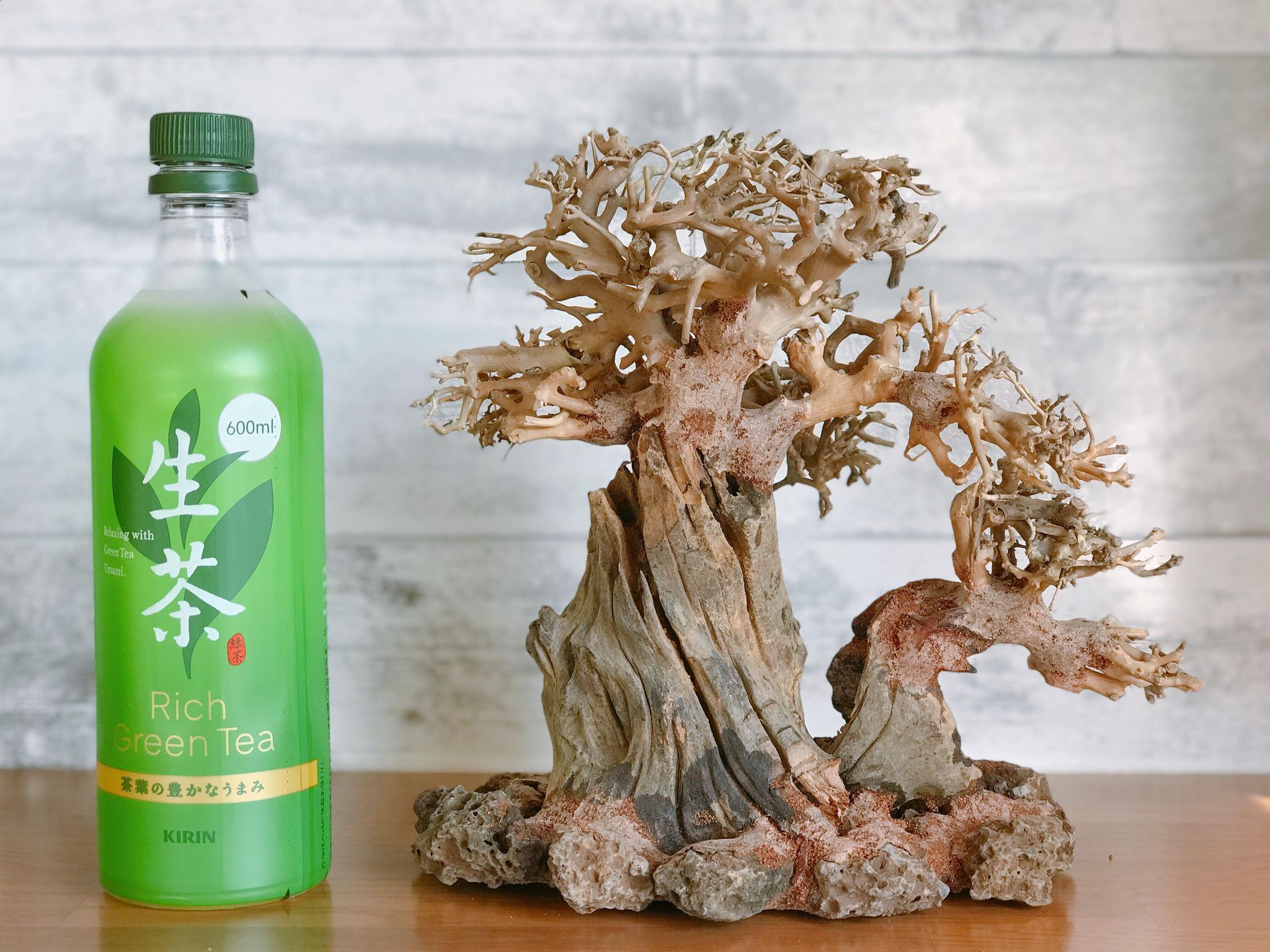 楽天市場】【送料無料・お買い得】溶岩石付き親子盆栽流木（水槽専用