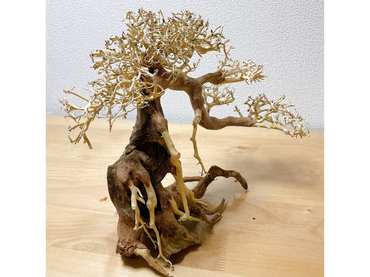 アクアリウム用 流木ボンサイ レイアウト素材 水槽用流木レイアウト