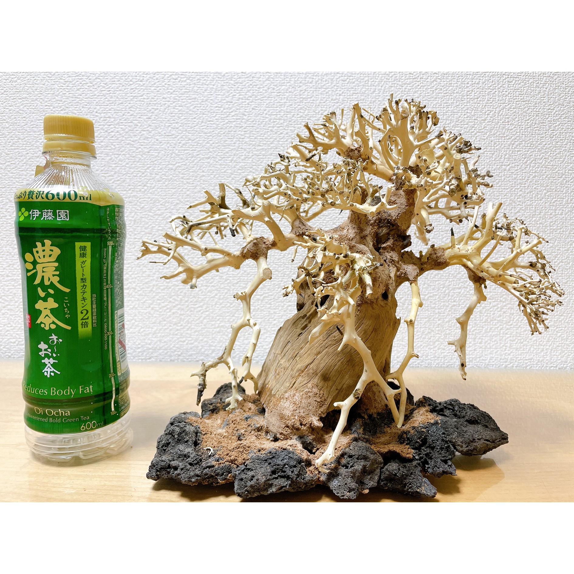 盆栽流木 人工 オブジェ 水槽 アクアリウム 盆栽流木 人工 オブジェ