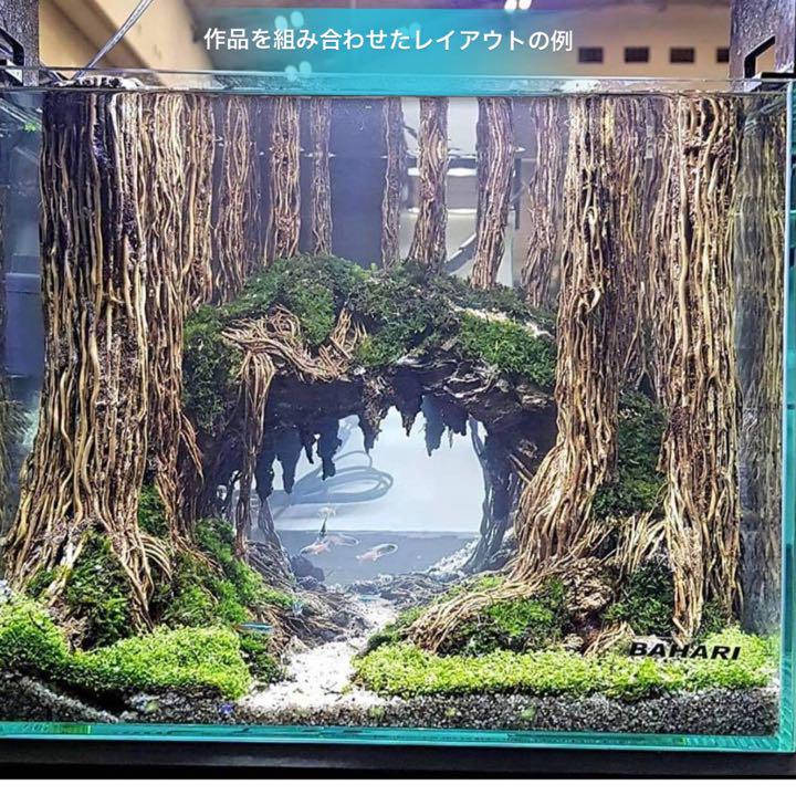 楽天市場】中型空洞型熱帯雨林のバニヤン流木 (水槽専用アート