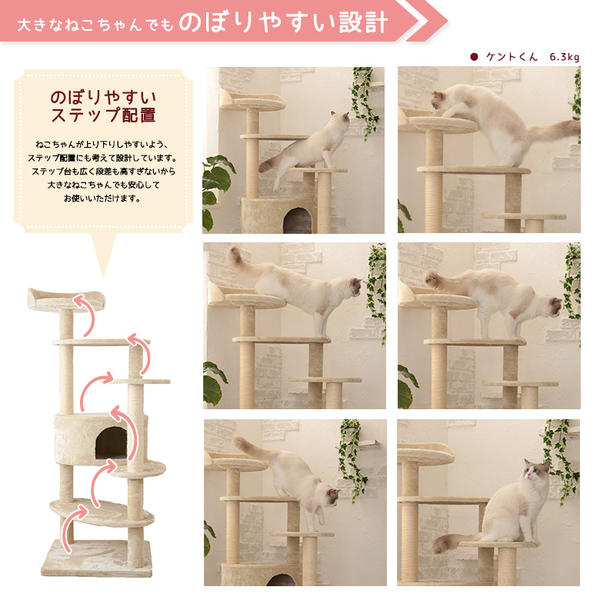 楽天市場】【Mauタワーリッチエッグ】キャットタワー 人気 据え置き