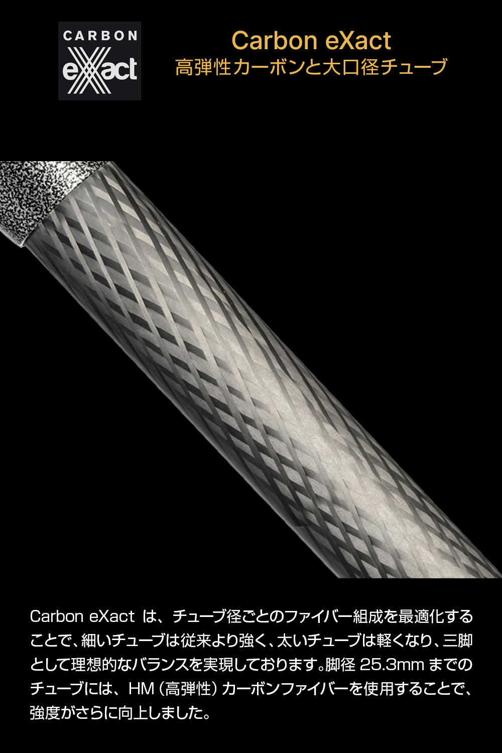 楽天市場】【OUTLET】Gitzo ジッツオ カーボン一脚2型6段トラベラー