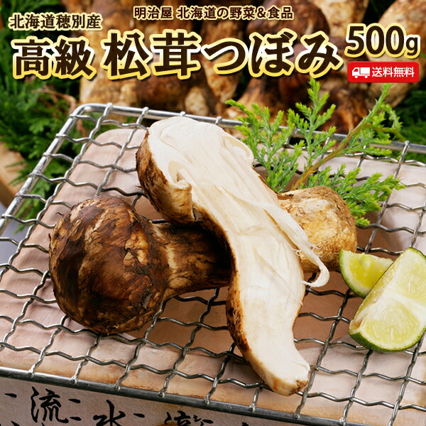 松茸 北海道 500g 訳あり 送料込 国産 ① 松茸 北海道 500g 国産 ①