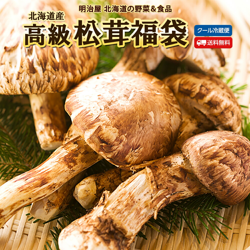 北海道松茸500g 訳あり