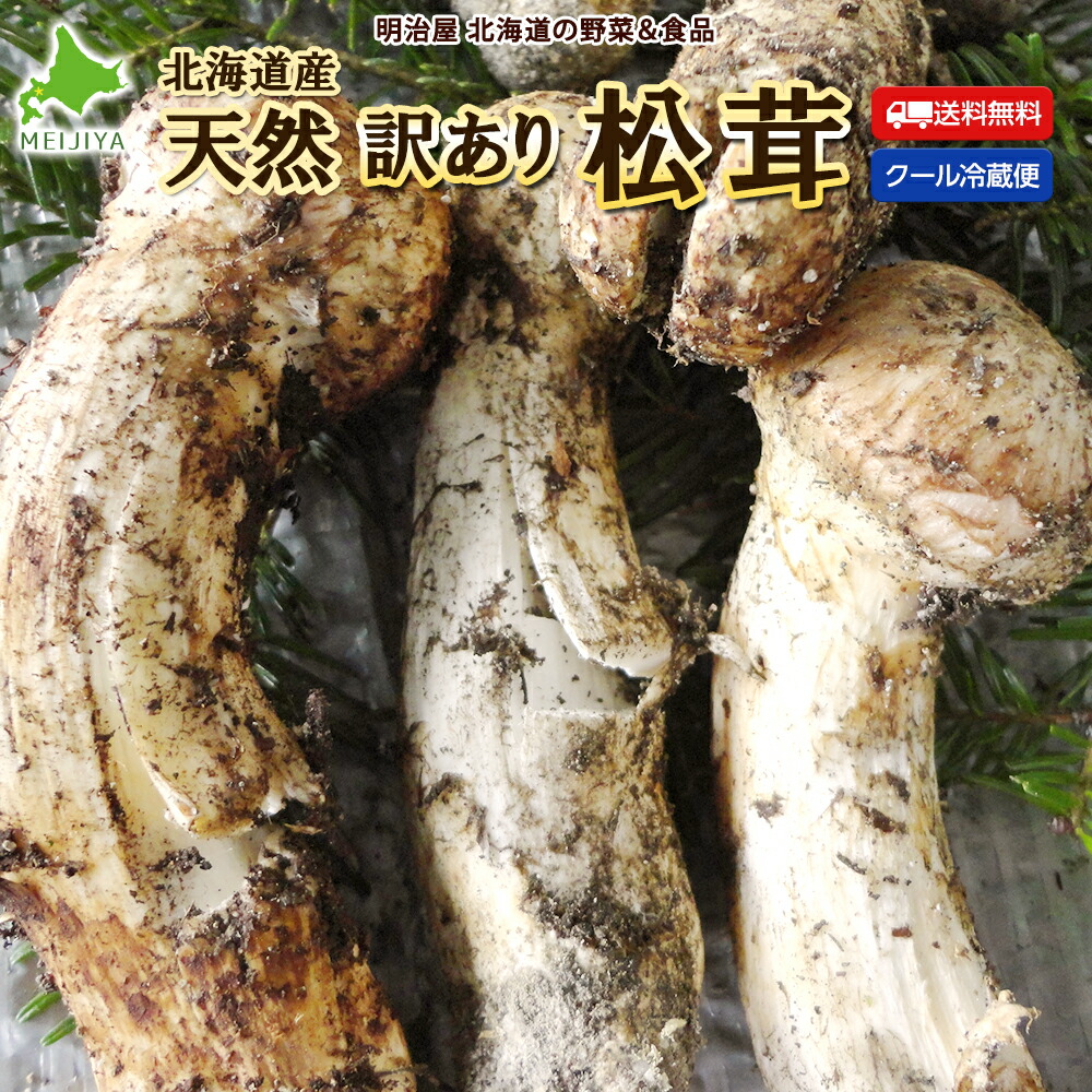 北海道松茸500g 訳あり