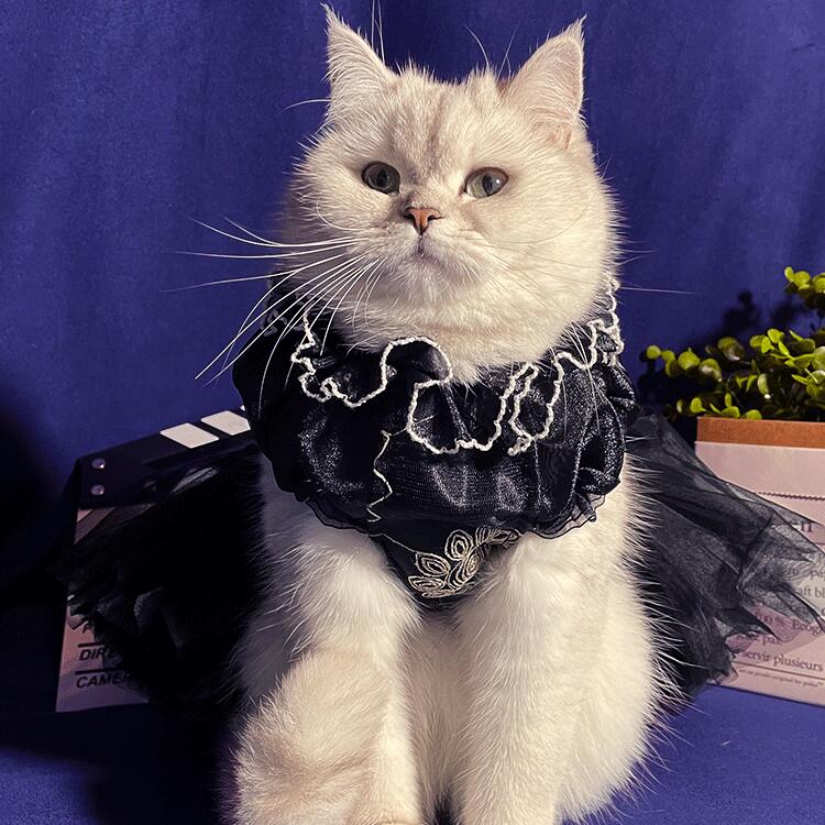 楽天市場】ペット服 犬服猫服 ウェディングドレス 超豪華 黒色ドレス