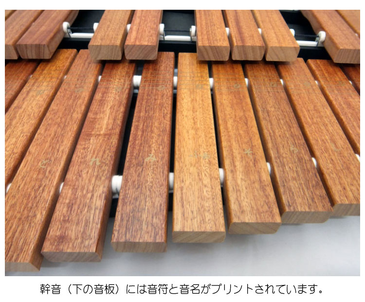 楽天市場】音程が良い木琴【ソフトケース付】自宅練習＆学校教育用