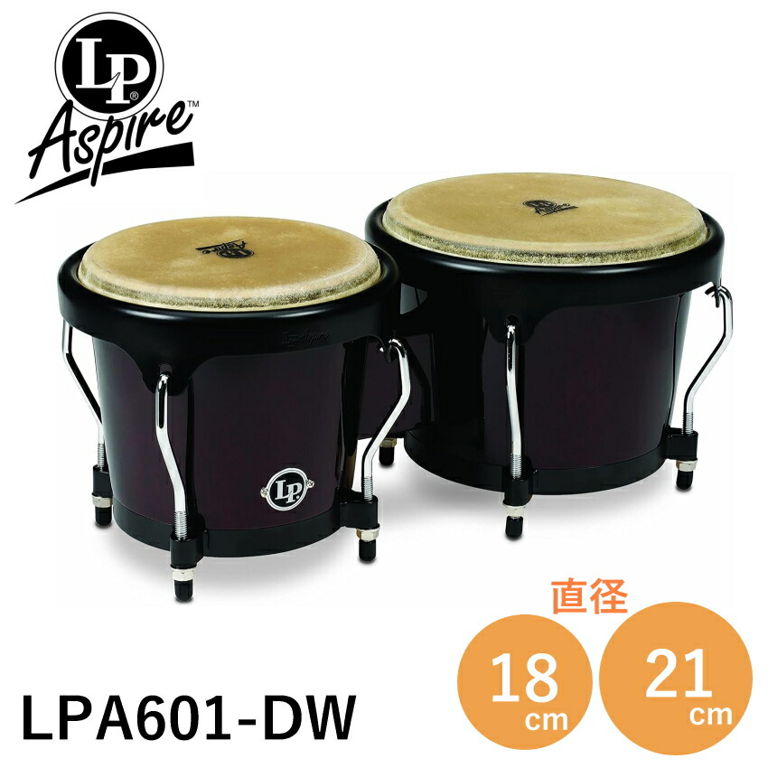 LP Aspire ボンゴ中古良品 KIKUTANIスタンド付き LP Aspire ボンゴ中古