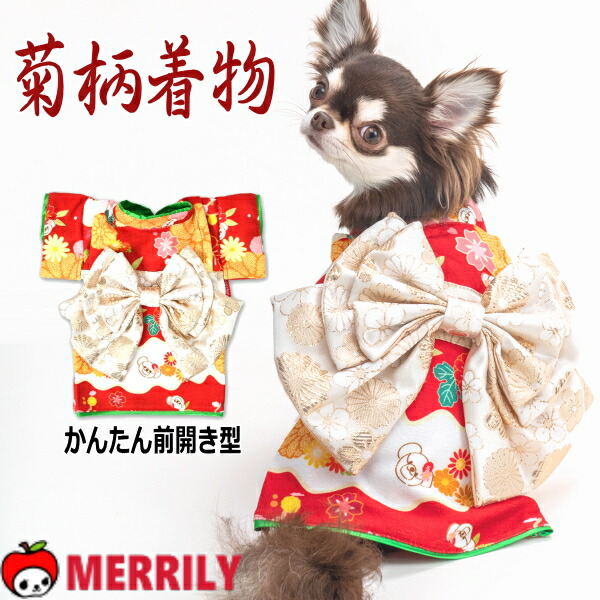 楽天市場】犬 着物 晴れ着 クレイジーブー 菊柄 CB241093 ソルグラ