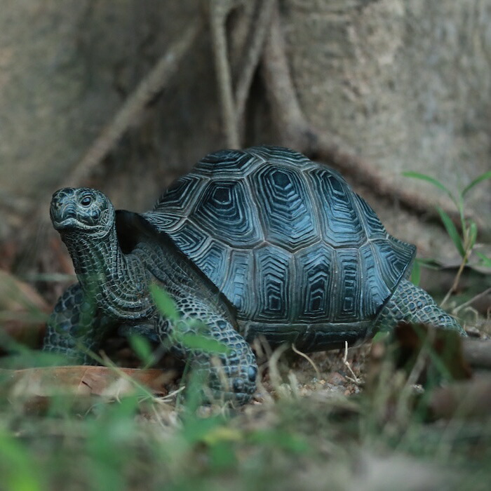 楽天市場】かわいい 亀の置物 カメ 小 woobia ウービア おしゃれ