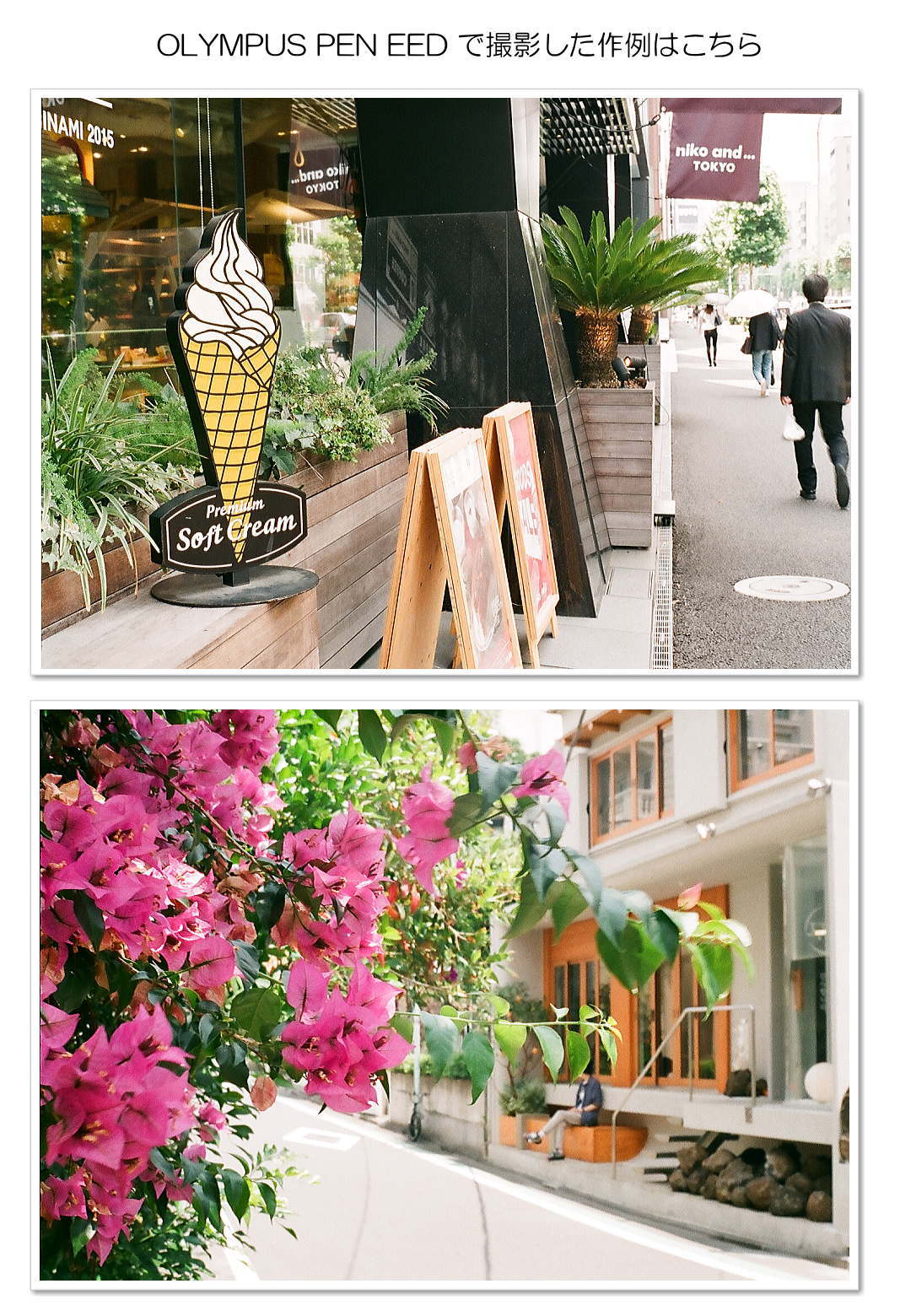 整備済 並品】レッド オリンパス PEN EED 露出計△ 日本製 #1349 整備