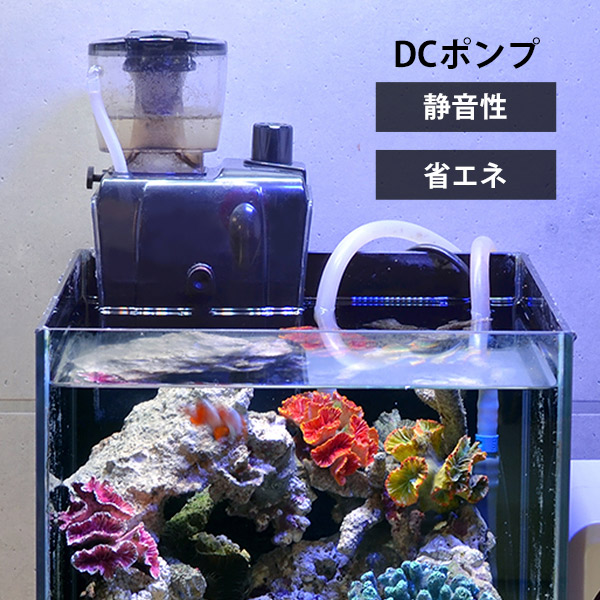 楽天市場】ゼンスイ 外掛式 プロテインスキマー QQ1 (水量100Lまで/DC