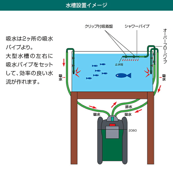 楽天市場】エーハイム プロフェッショナル3 2080 (90cm以上の水槽用