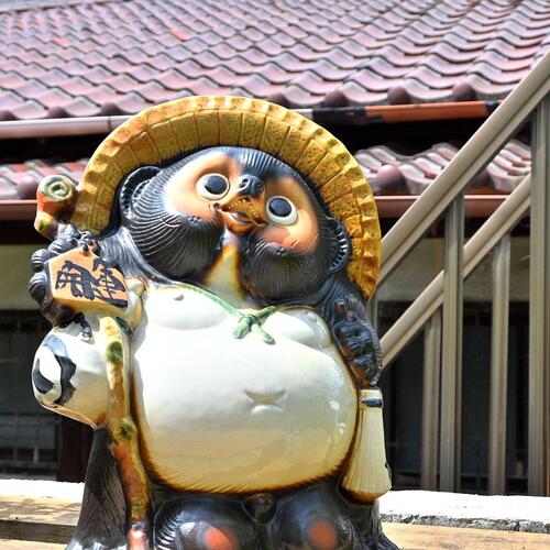 信楽焼 [HG604] 信楽焼 狸 たぬき 高さ約84センチ 置物 招福開運