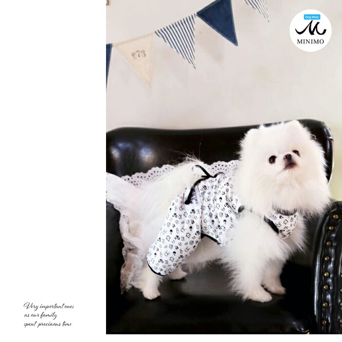 犬服 3S わんこの普段着ポップアニマル