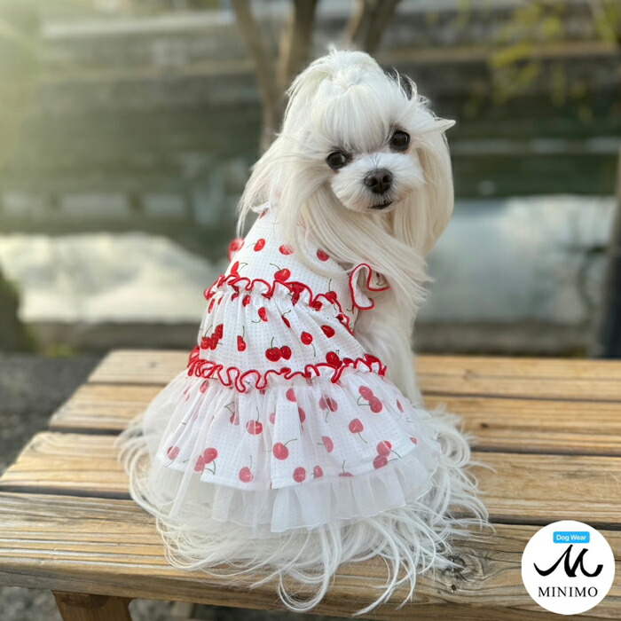 犬服 3S わんこの普段着 ときどき白いちご 犬服 3S わんこの普段着