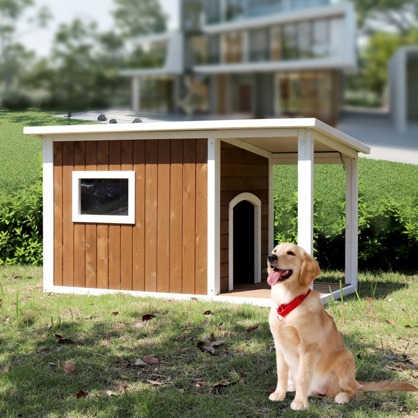 楽天市場】木製犬小屋 屋内用 無垢材アスファルト屋根犬小屋 大型