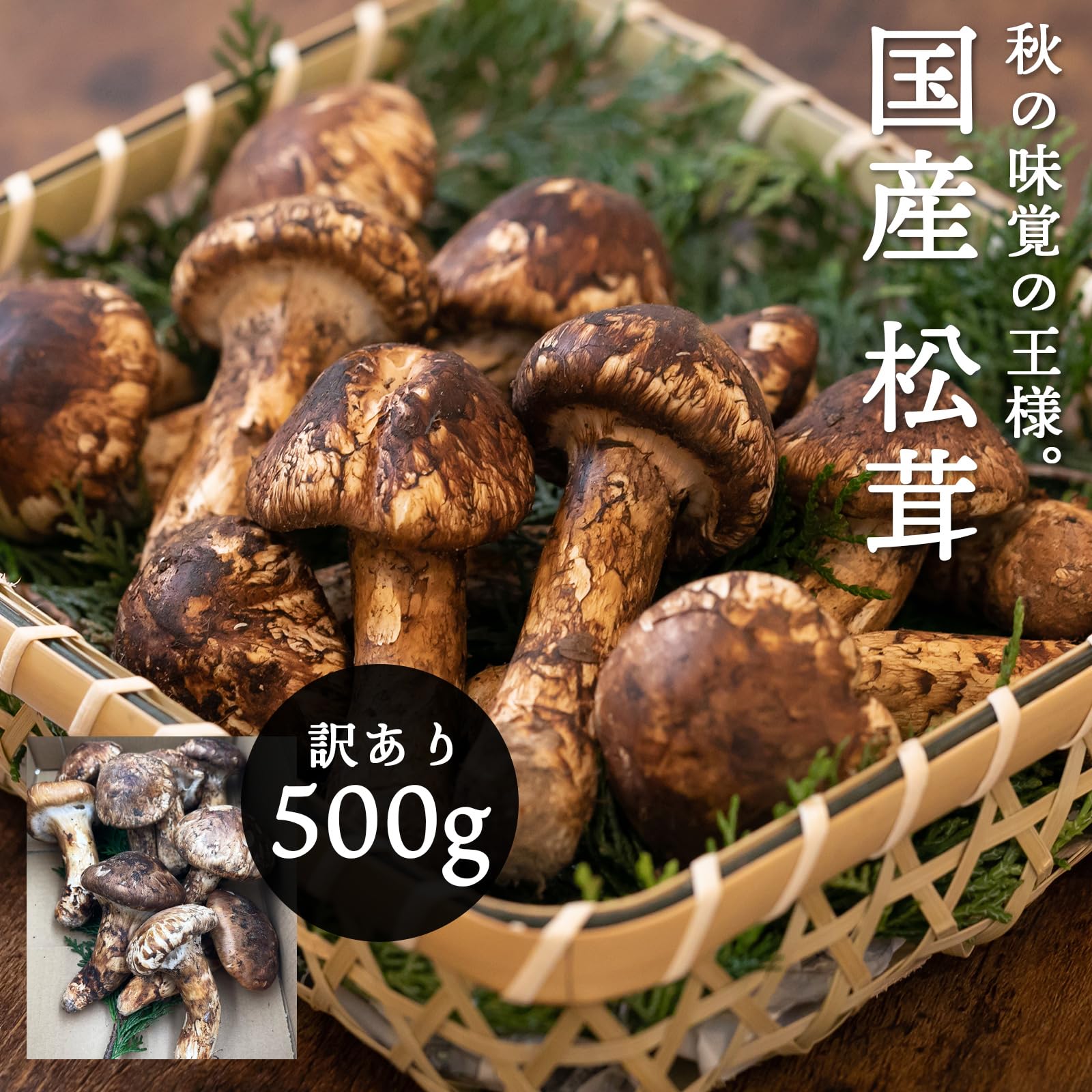 松茸 北海道 500g 訳あり ① 国産 松茸 北海道 500g 訳あり 国産②