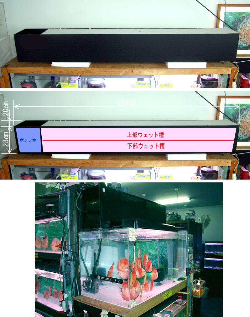 楽天市場】180cm水槽用 オリジナルフルウェット上部フィルター