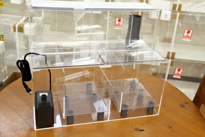 クロミス オーバーフロー水槽60x30x36,アクリル濾過槽,Rioポンプ