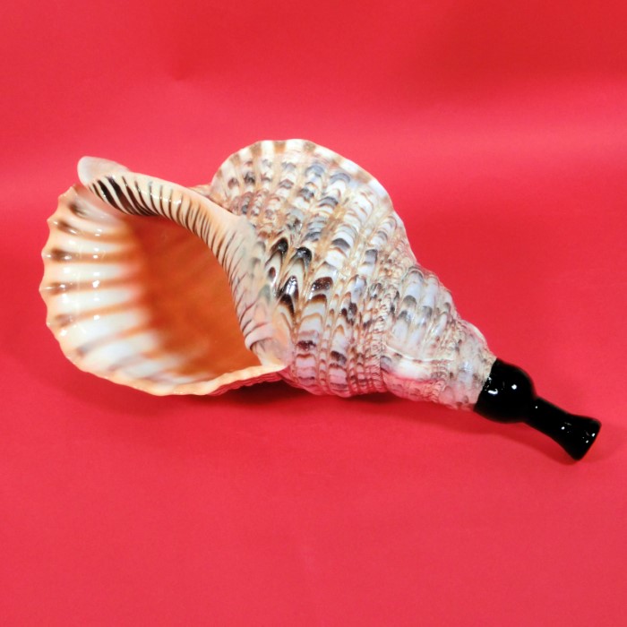 法螺貝② 山伏法螺貝II ミニ匠ほら貝ホラ貝- YouTube