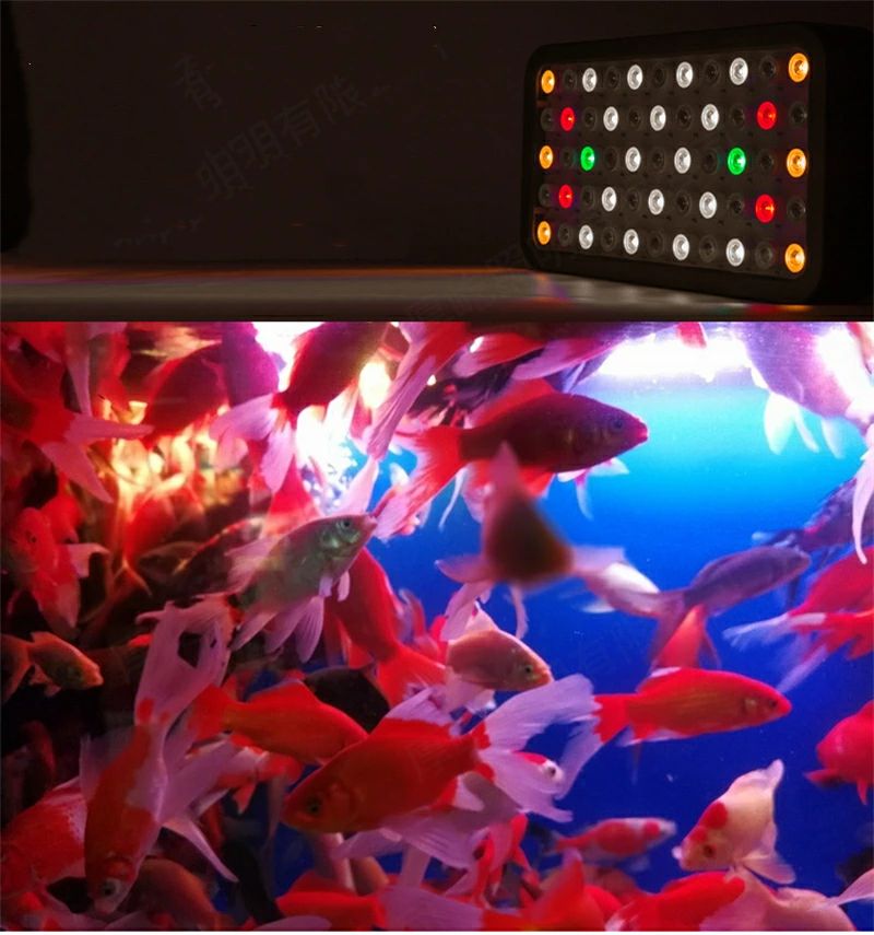 楽天市場】165W 55LEDx3W 水族館 水槽照明 海水魚 サンゴ水槽 珊瑚