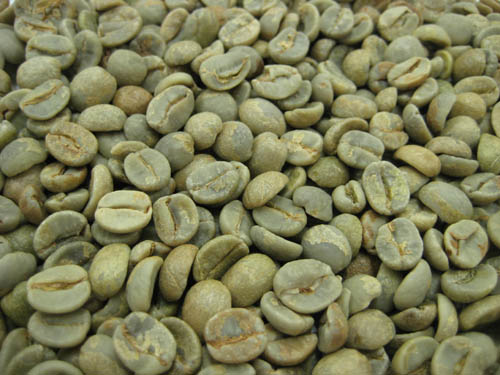 コーヒー豆 生豆 5kg ブラジル」の人気商品一覧 | 安い商品を通販