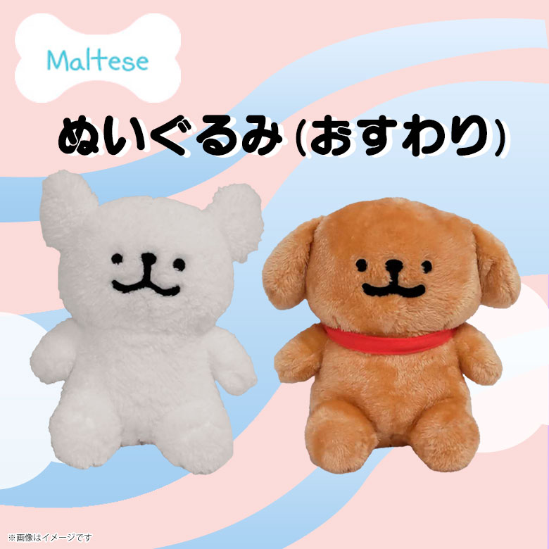 楽天市場】Maltese ぬいぐるみ(おすわり)【全2種】マルチーズ