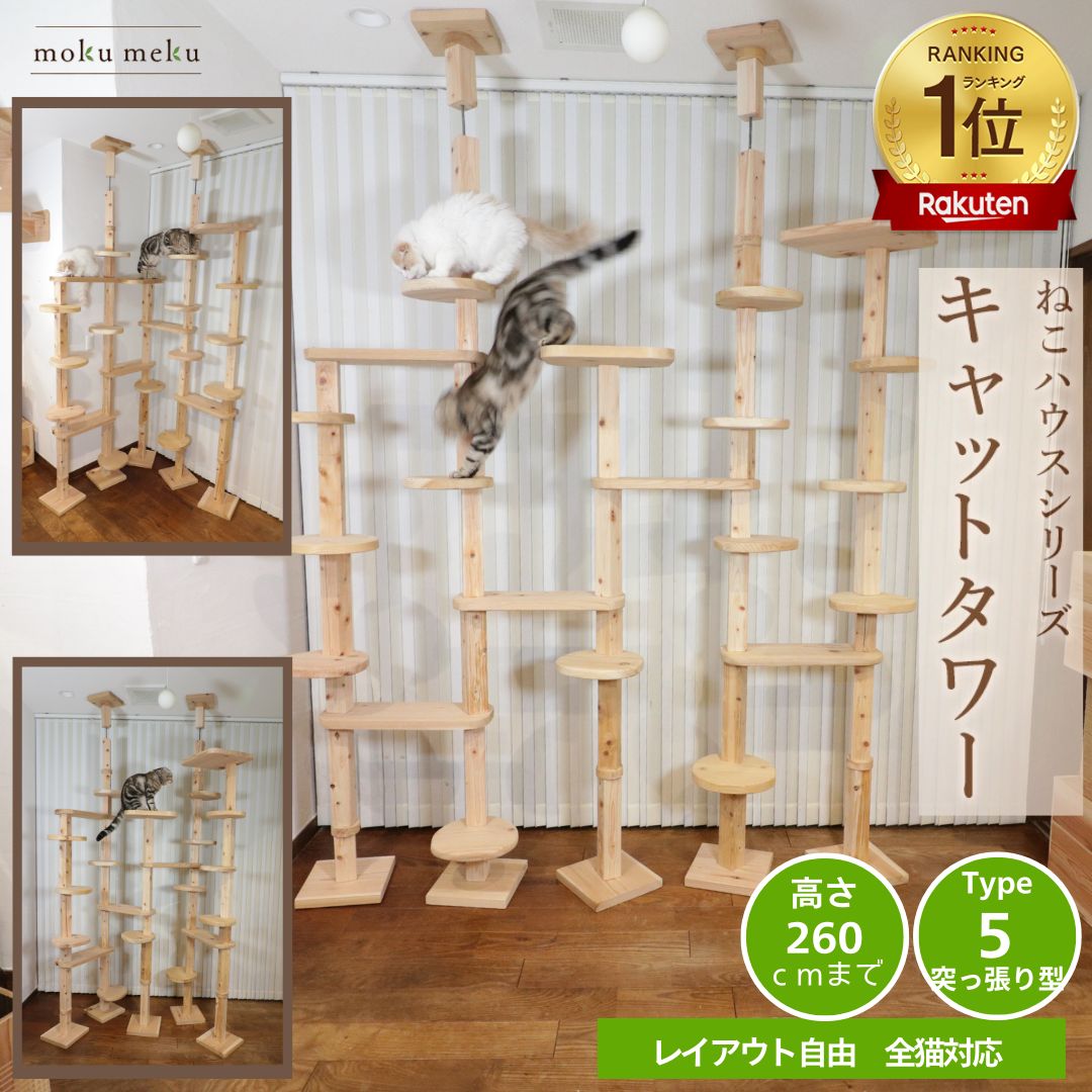 楽天市場】【 P5倍 購入額で最大10%offｸｰﾎﾟﾝ 雑誌 ananにゃんこLOVE