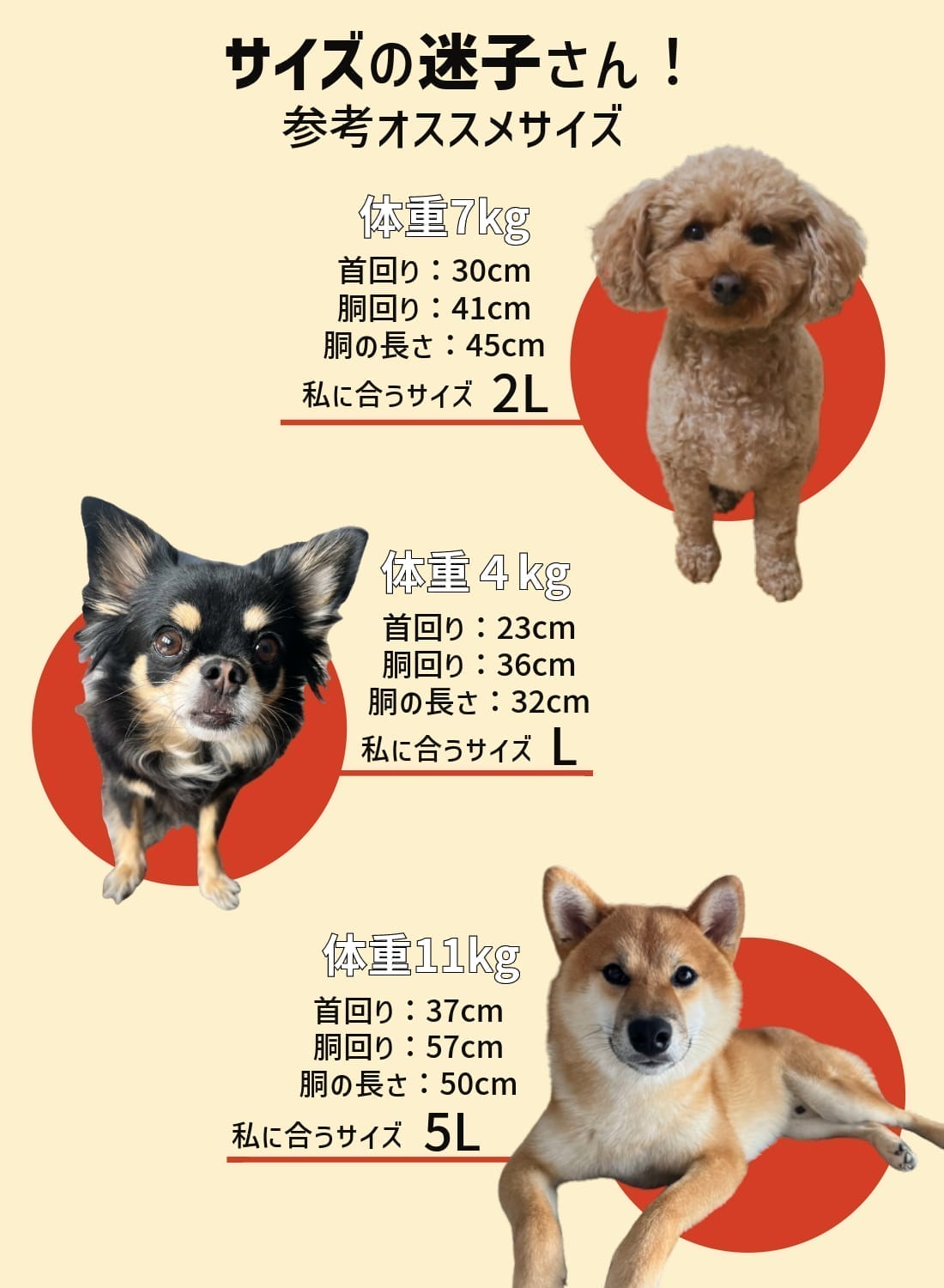 楽天市場】【まとめ買い対象】【40％OFF SALE セール】Snow Peak