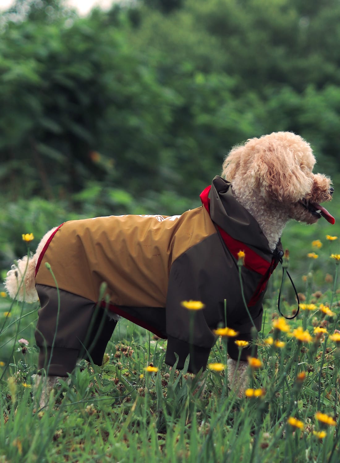 楽天市場】【まとめ買い対象】【40％OFF SALE セール】Snow Peak